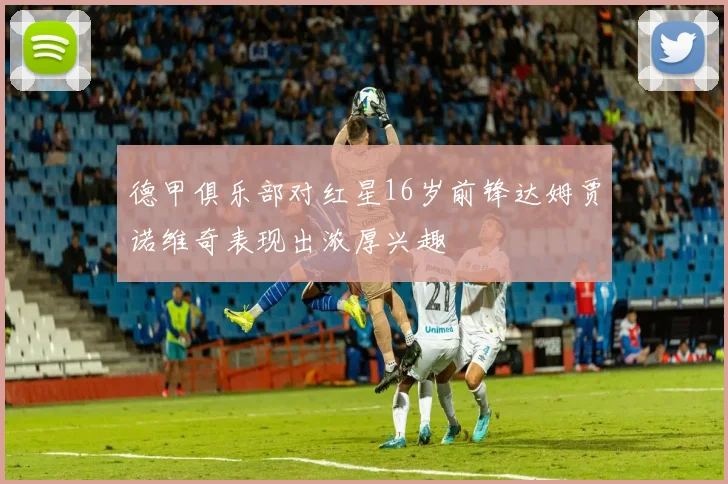 德甲俱乐部对红星16岁前锋达姆贾诺维奇表现出浓厚兴趣