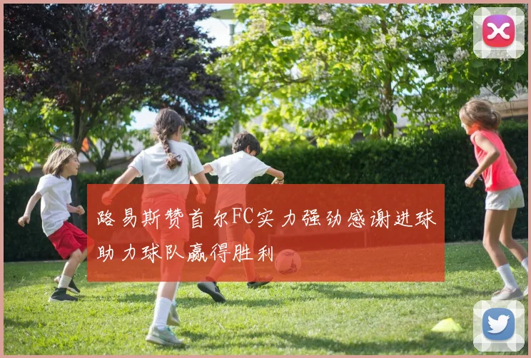 路易斯赞首尔FC实力强劲感谢进球助力球队赢得胜利
